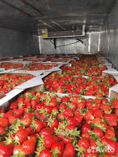 Грузоперевозки Газель Рефрижератор