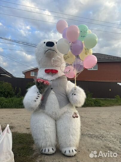 Белый мишка, панда, чебурашка на праздник