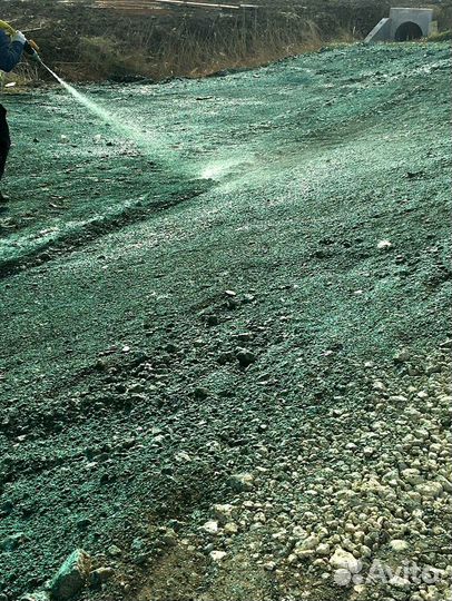 Рулонный газон с укладкой. Посев семян. Гидропосев