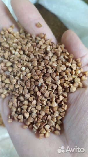 Гречка в мешках