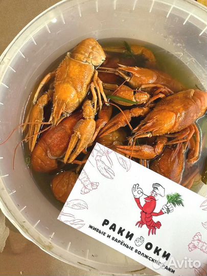 Волжские раки сао