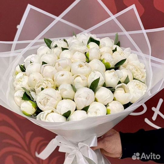 Пионы Букет пионов