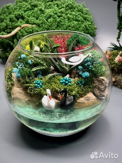 Флорариум с фигурками лебедей