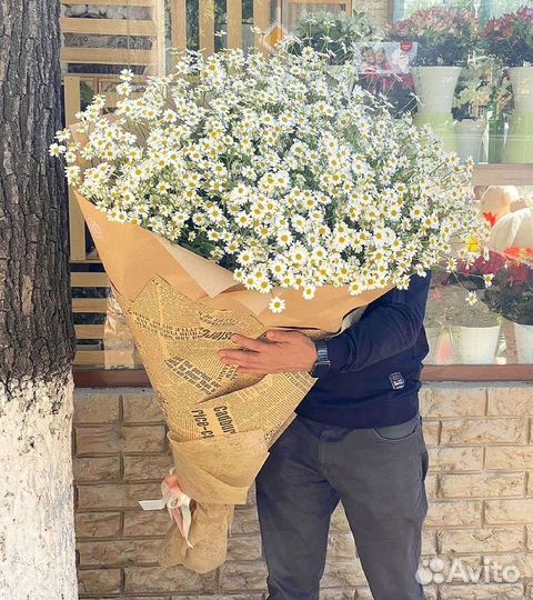 Букеты ромашек