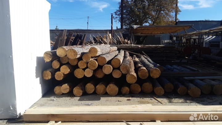 Лес кругляк