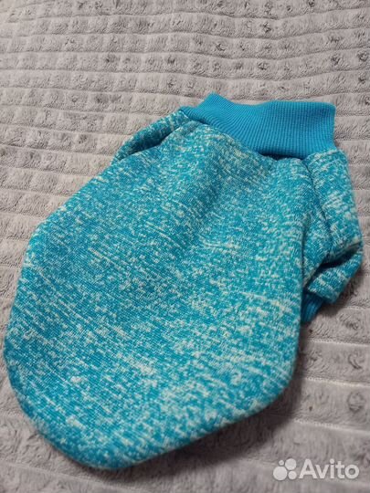 Одежда для собак и кошек