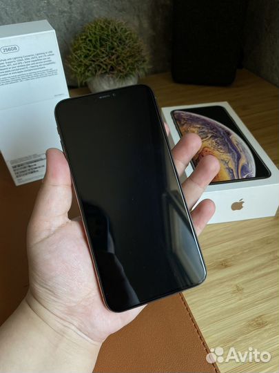 iPhone Xs Max, 256 ГБ
