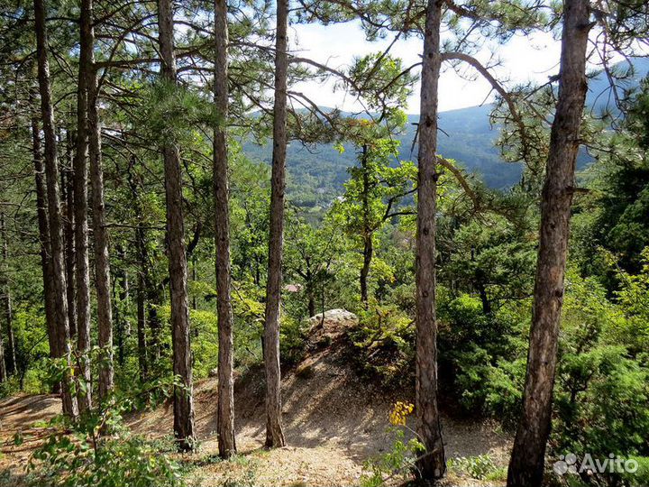 Экскурсия — Ялта — Потропе здоровья кгоре Ставри-К