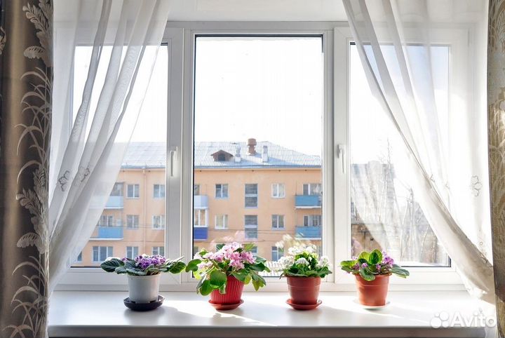 Окна сжатые сроки