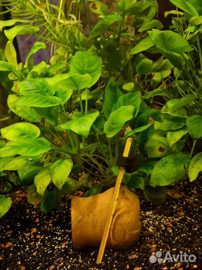 Аквариум Аquael на 60 литров