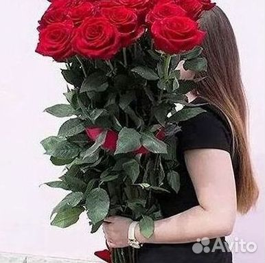 51 Роза, Букеты Цветы Розы 25 101 501 1001