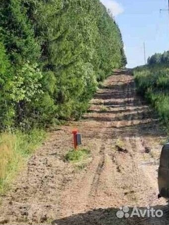 Услуги мульчера, расчистка