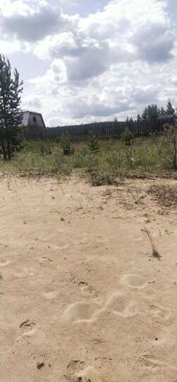 Участок 10 сот. (СНТ, ДНП)