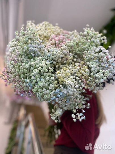 Гипсофила букет цветы