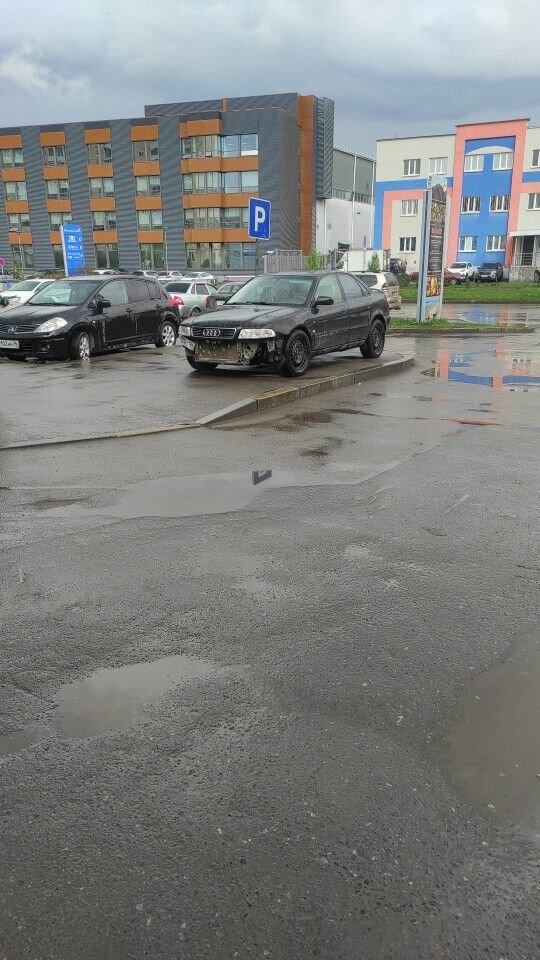 Audi A4: фото владельца