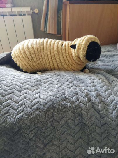 Платье для кошки. Разные