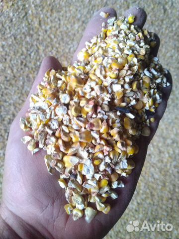 Кукуруза дроблёная (колотая)