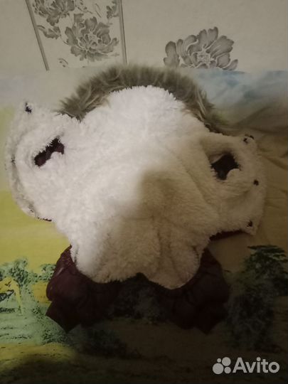 Костюмчик для собак осень - зима