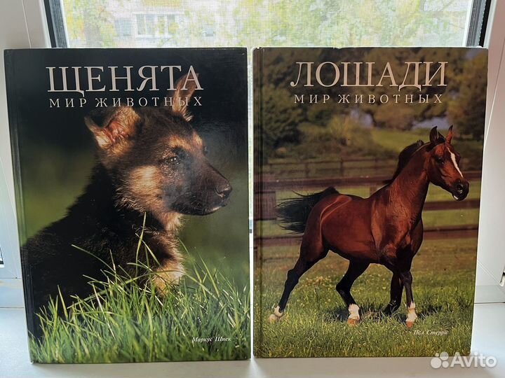 Энциклопедии