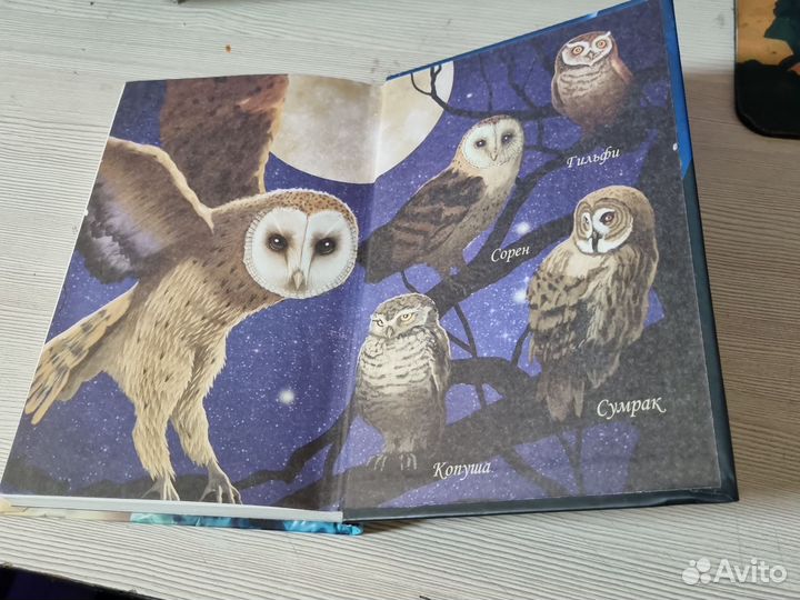 Детские книги. Ночные стражи.Кэтрин Ласки