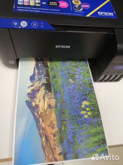 Цветной мфу Epson L3101. Встроенная снпч