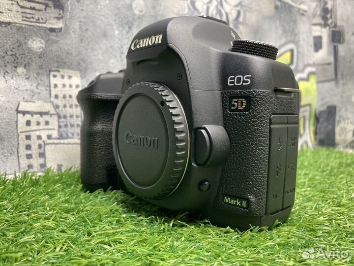 Canon EOS 5D Mark II 30.300 кадров