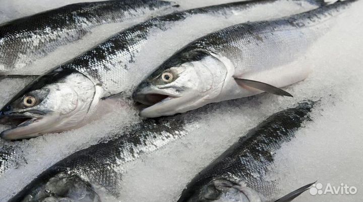 Франшиза: стиль и поток клиентов