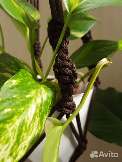 Подвесное кашпо для улицы