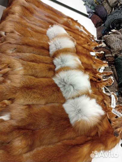 Шкурки лисы-огневки
