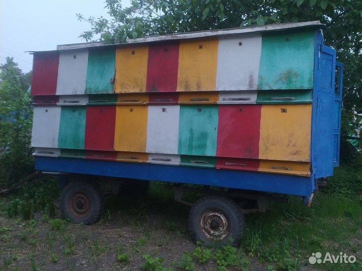 Пчелоприцеп