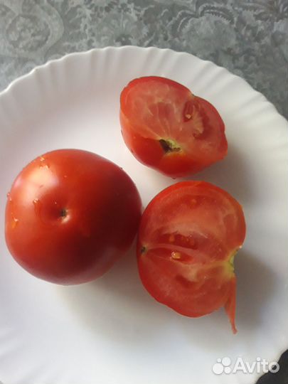 Семена томатов