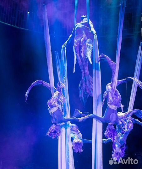 6 ноября Королевство Вернандского цирк билеты