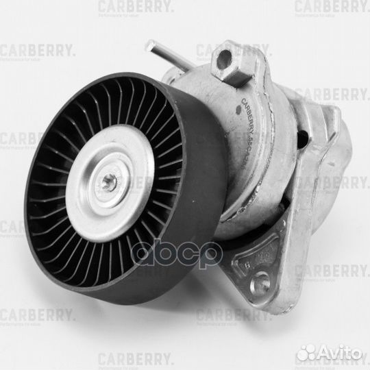 Ролик поликлинового ремня натяжной 55CA250 carb