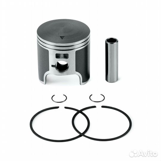 Поршень Polaris 550F (T-Moly, +0,25 мм) SM-09256-1