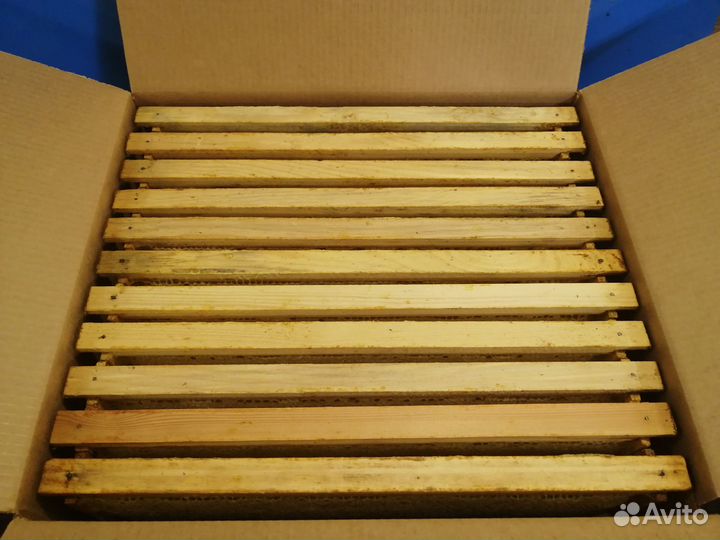 Сотовый мед оптом