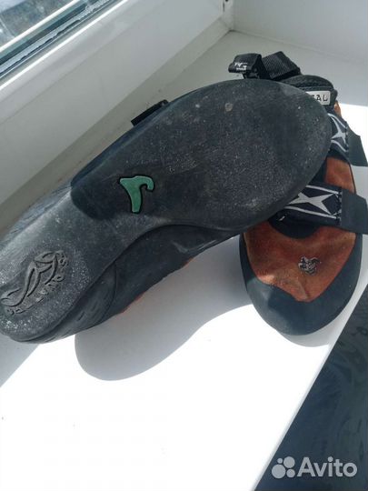 Скальные туфли