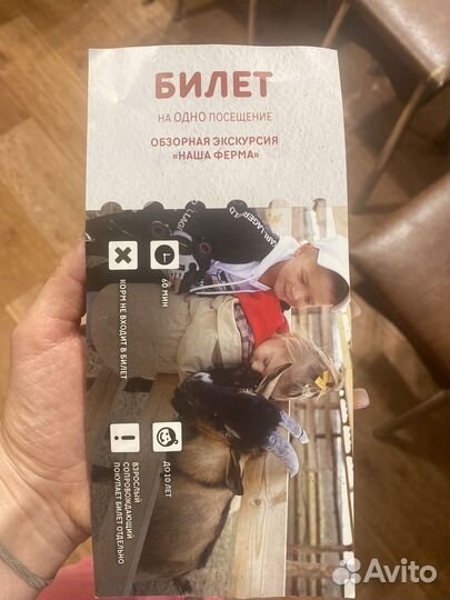 Билет наша ферма