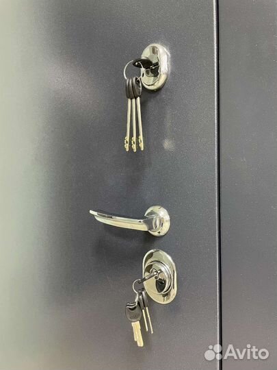 Дверь входная Кардинал с зеркалом