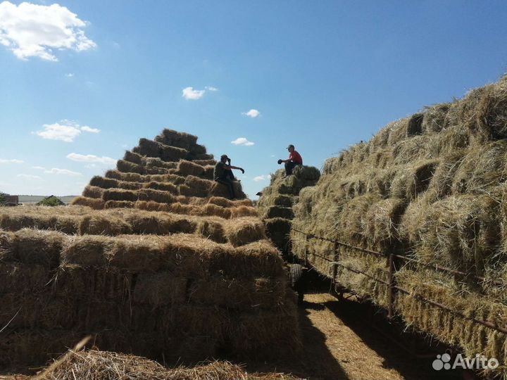 Сено луговое в тюках