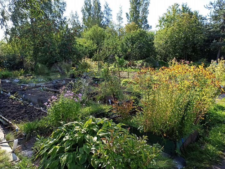 Участок 6 сот. (СНТ, ДНП)