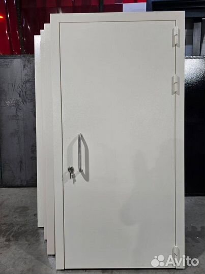 Техническая дверь металлическая