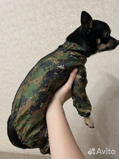 Куртка для малениких собак