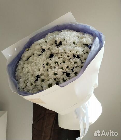 Хризантемы. Букет из хризантем. Цветы оптом + дост