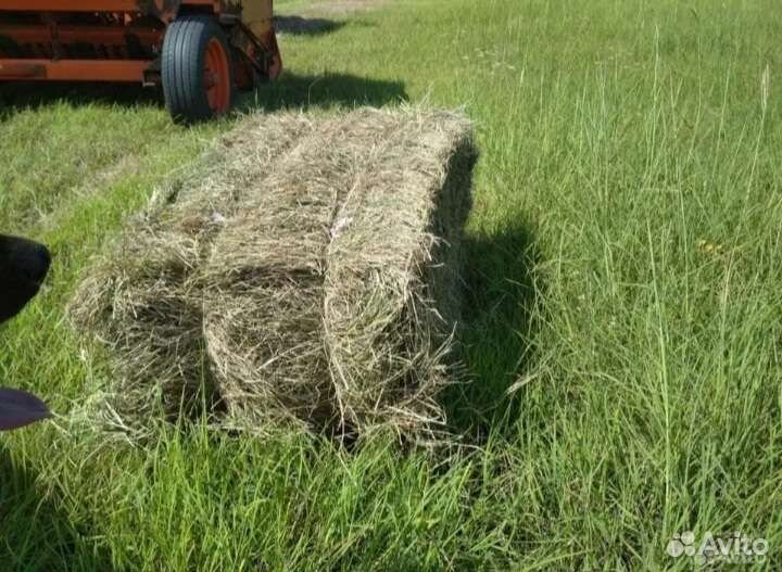 Сено, солома в тюках