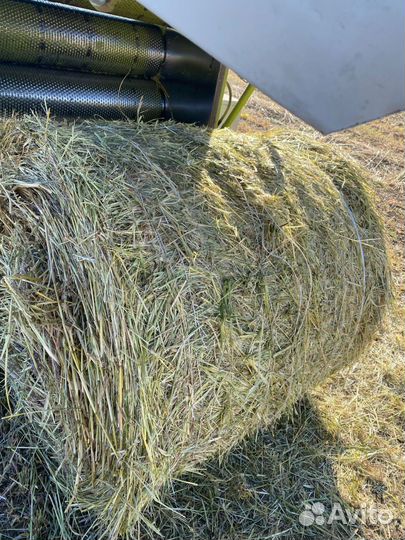 Сено суданка в рулонах