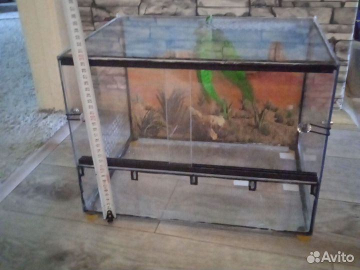 Террариум для рептилий