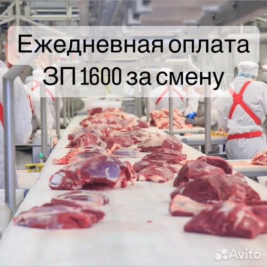 Разнорабочий с ежедневной оплатой