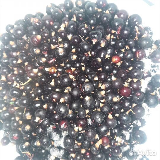 Смородина замороженная