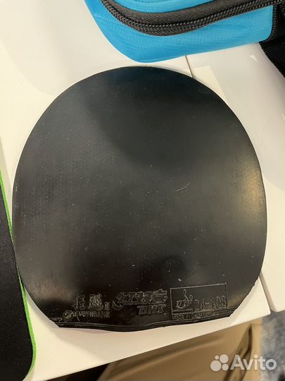 DHS hurricane 3 national NEO blue sponge