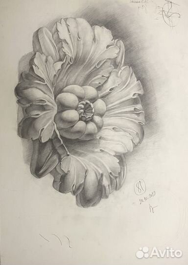 Академический рисунок, розетка